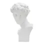 SCULTURA ROMAN YOUNG 20 17,5 30 cm